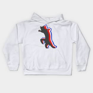 American Black Meme Cat Kids Hoodie